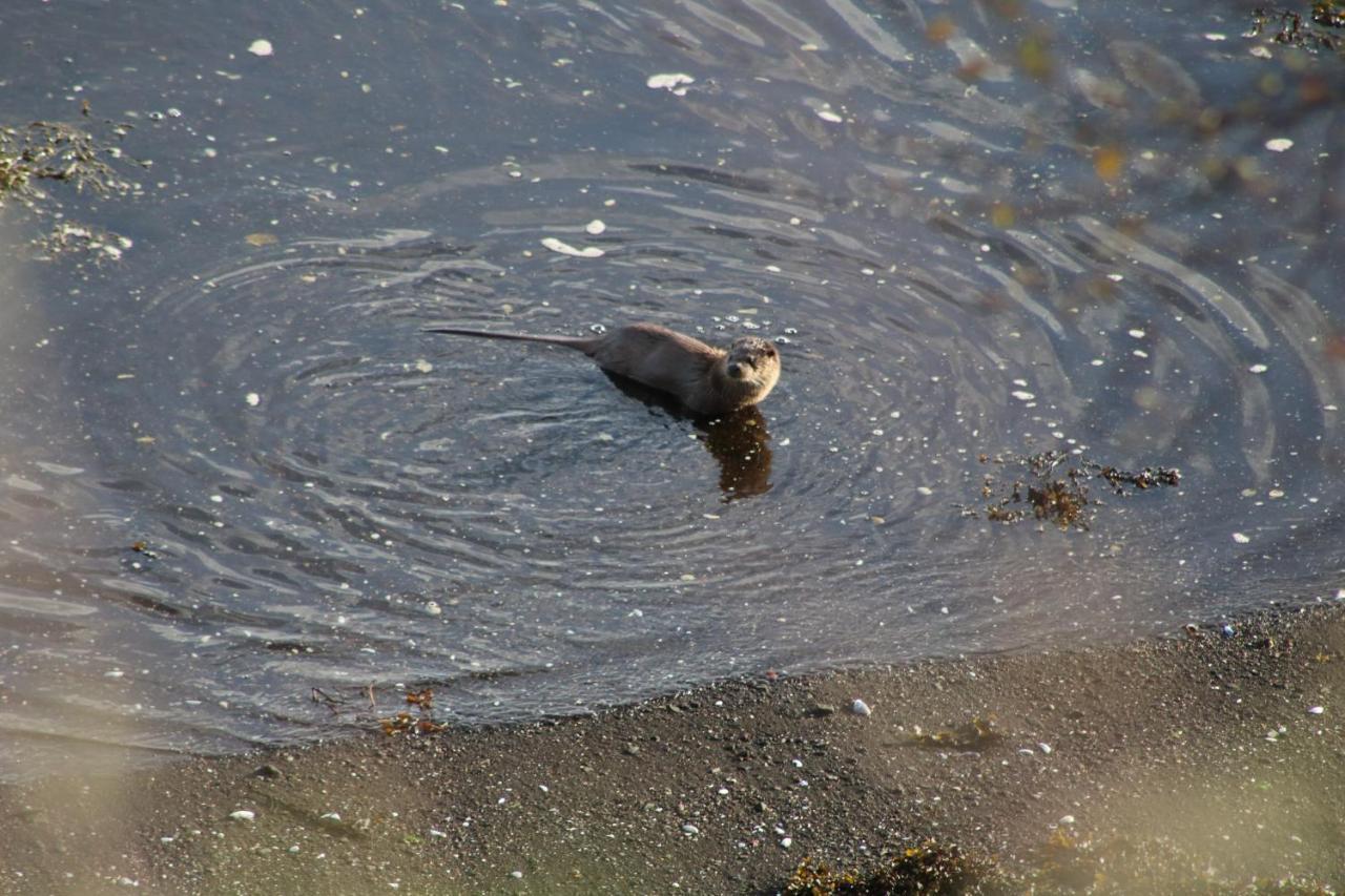 Air An Oir - Skye Self Catering Villa Portree Luaran gambar